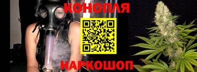шишки Конаково